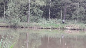 63862c21729af2017_Freundschaftsfischen_19.jpg